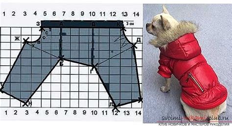 Подготовка перед изготовлением выкройки для питомца: важные шаги и рекомендации