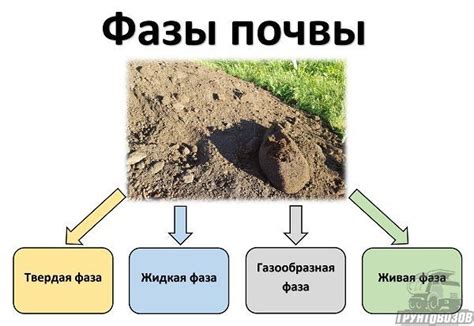 Подготовка почвы: необходимые компоненты и их роль