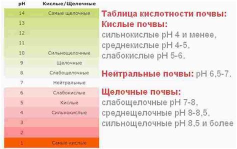 Подготовка почвы для оптимального роста растений