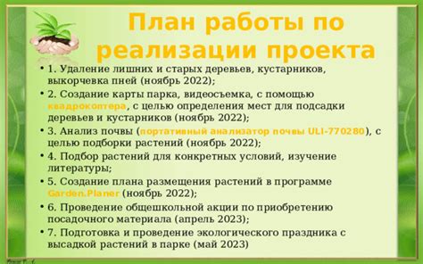 Подготовка почвы и создание условий для развития моркови