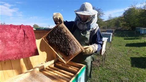 Подготовка пчелиного улья перед установкой специального устройства
