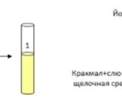 Подготовка раствора активатора фермента