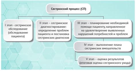 Поддержка и уход за суденцом рыболова: основные принципы и рекомендации