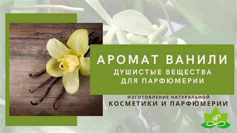 Поднимаем настроение ароматом: способы восстановить душистые нотки собственными силами