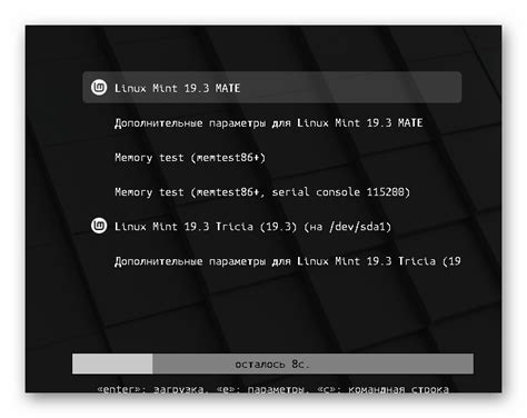 Подробный процесс загрузки и установки игры на Linux Mint