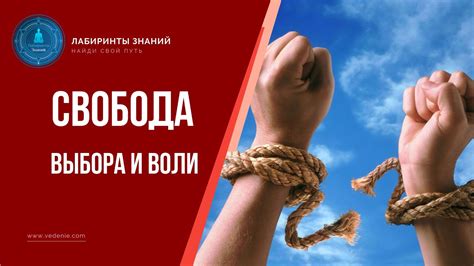 Подростковая страсть: революция и свобода выбора