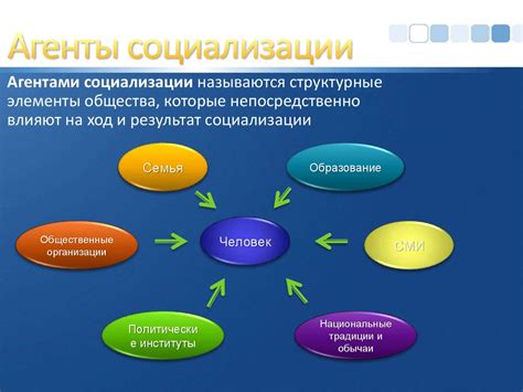 Позаботьтесь о социализации мурчалки и кисю