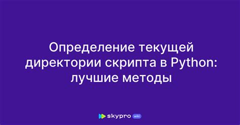 Поиск и выбор скрипта: нахождение и определение подходящего решения