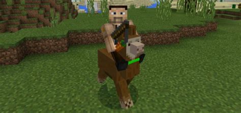 Поиск и приручение ламы в мире Minecraft: искусство обретения верного спутника