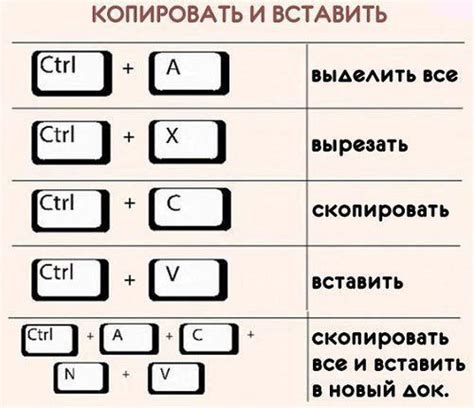 Полезные советы и рекомендации по использованию важной комбинации клавиш на Apple компьютере