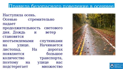 Полезные советы по противодействию вредителям пчеловодства в осеннее время года