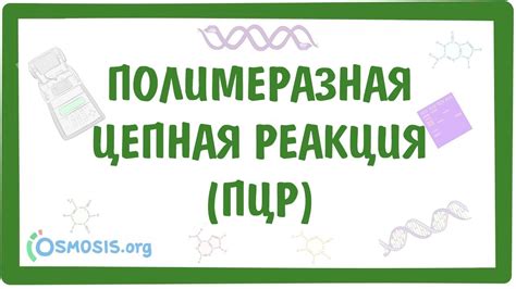 Полимеразная цепная реакция: основы и применение