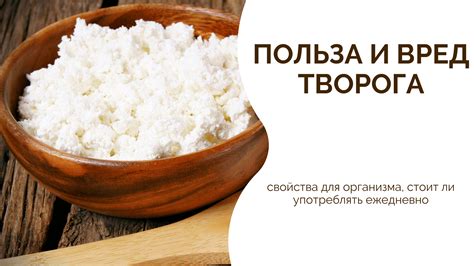 Польза творога и моркови для организма