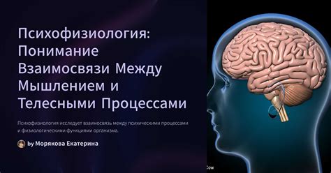 Понимание взаимосвязи между индивидуумами, социумом и окружающей средой