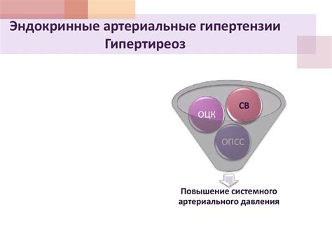 Понимание гипертензии и гипотензии