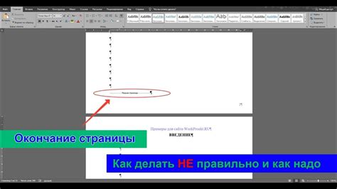 Понимание основных компонентов структуры страницы в текстовом редакторе