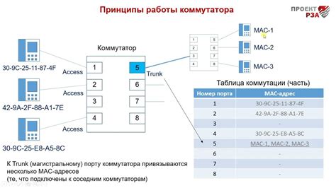 Понимание работы нейронного коммутатора