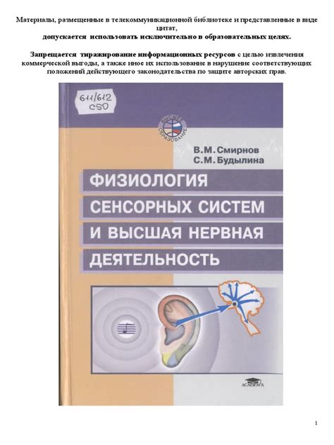 Понимание сущности и ключевых составляющих кардиограммы