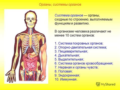 Последствия для органов и систем организма