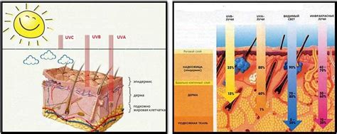 Последствия негативного воздействия ультрафиолетового излучения на кожу лица: информация и рекомендации