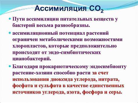 Последствия недостаточной ассимиляции питательных компонентов