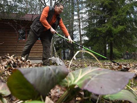 Последствия неуплаты членских взносов для садоводов