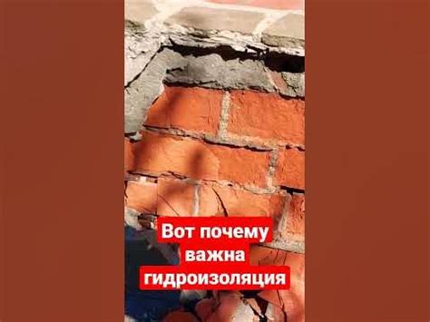 Последствия отсутствия гидроизоляции