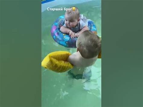 Постепенное приучение животного к водным процедурам