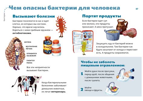 Постижение истинной свежести: важность очищения языка от вредных бактерий