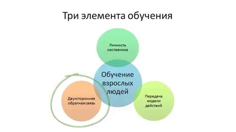 Постоянное развитие и обратная связь