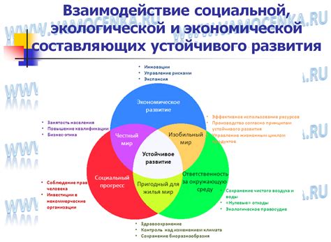 Построение экономической системы и обеспечение устойчивого развития