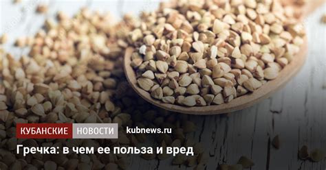 Потеря полезных веществ при непромытой крупе