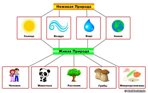 Похожие черты между объектами