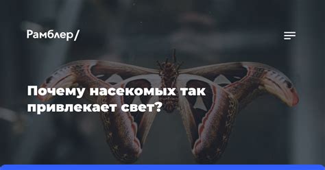 Почему мнение тысячи насекомых не привлекает моего доверия?