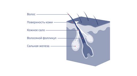 Почему поры на коже расширяются и как им можно предотвратить?