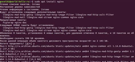 Пошаговая инструкция очистки системы от Nginx в ОС Ubuntu