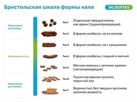 Появление жидкого кала у взрослых: факторы, влияющие на его возникновение