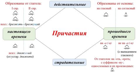 Правила использования причастий в полной форме