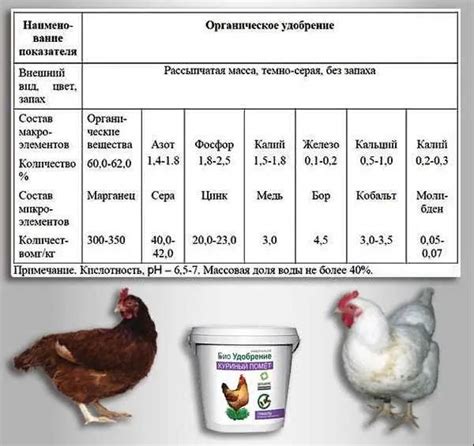 Правильная методика внесения стартовой культуры в молоко