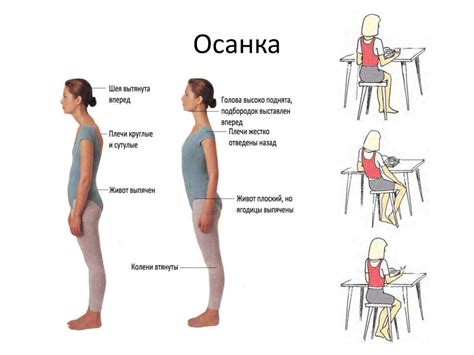 Правильная осанка: корректное положение тела и его влияние на внешний вид