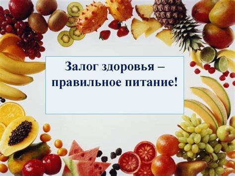 Правильное питание для качественных яиц: залог здоровья и высокой продуктивности птицы