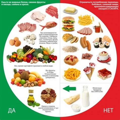 Правильное питание и установление режима питания