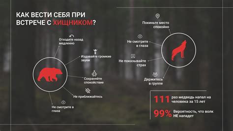 Правильное поведение при встрече с медведем в природе