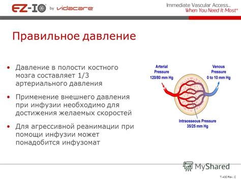 Правильное применение л-карнитина для достижения желаемых результатов