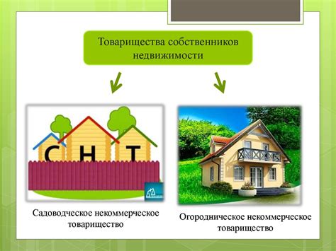 Правовые аспекты: обоснование назначения домов как жилых внутри садоводческих товариществ и садоводческих некоммерческих объединений