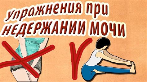 Практикуйте специальные упражнения для поддержания здоровья мочевого пузыря