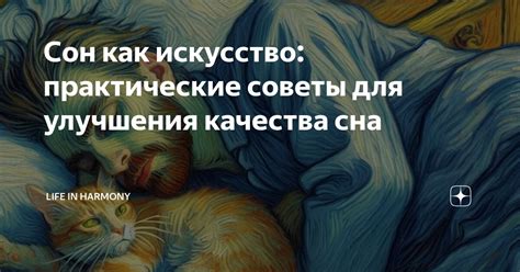 Практические советы для улучшения качества сна