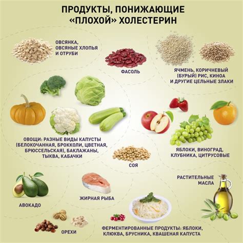 Практические советы по снижению энергозатрат в повседневной жизни