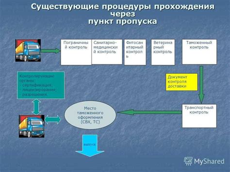 Практичные рекомендации для эффективного прохождения таможни и контроля документов