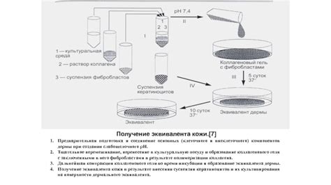 Предварительная подготовка необходимых компонентов для ихтиоловой лепешки